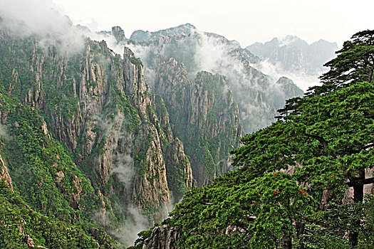 迷香水批发价格C1B8D97C5-18975